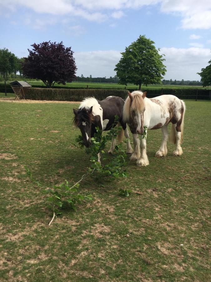 B&B En Wellness De Waalhoeve Angerlo 外观 照片