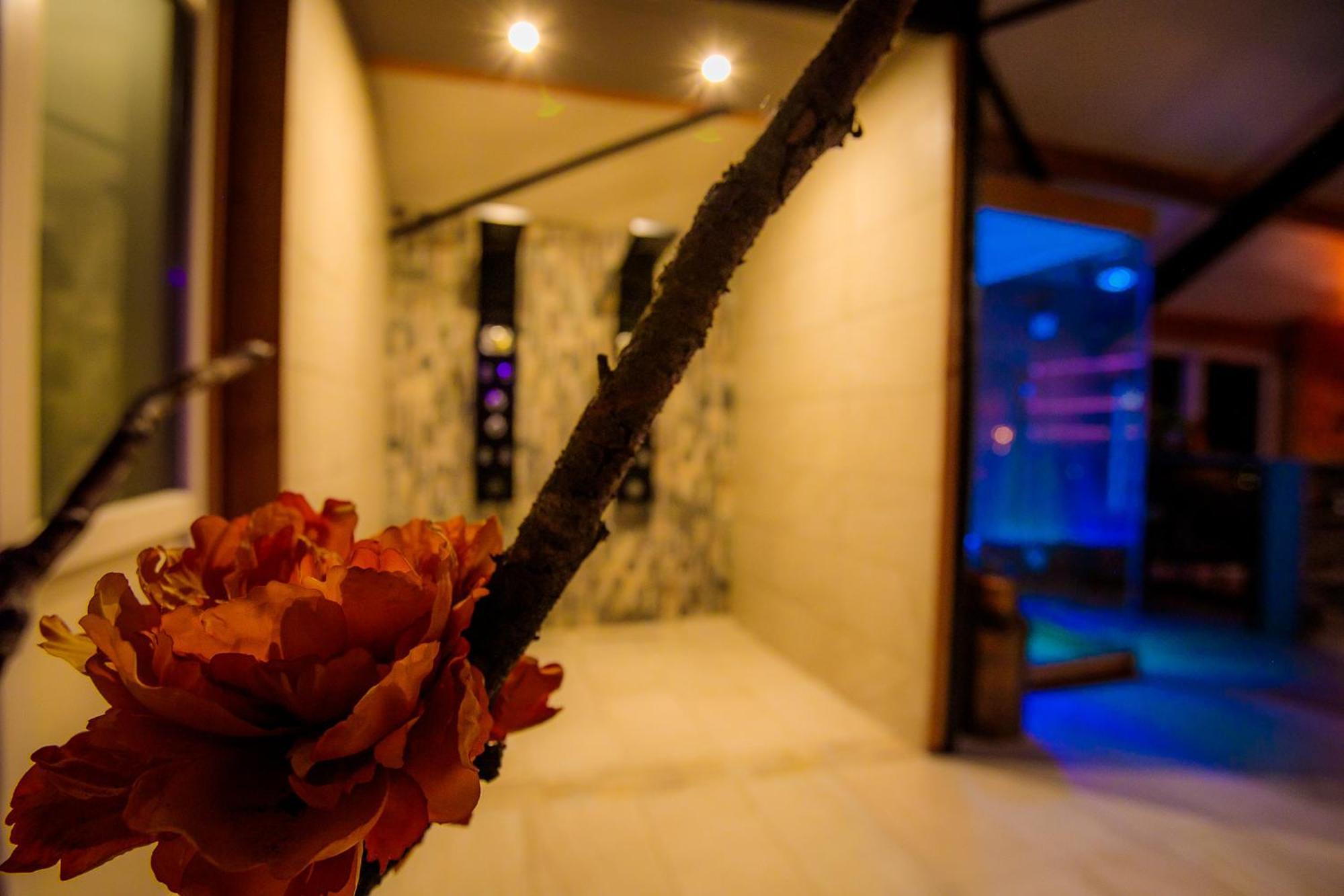 B&B En Wellness De Waalhoeve Angerlo 外观 照片